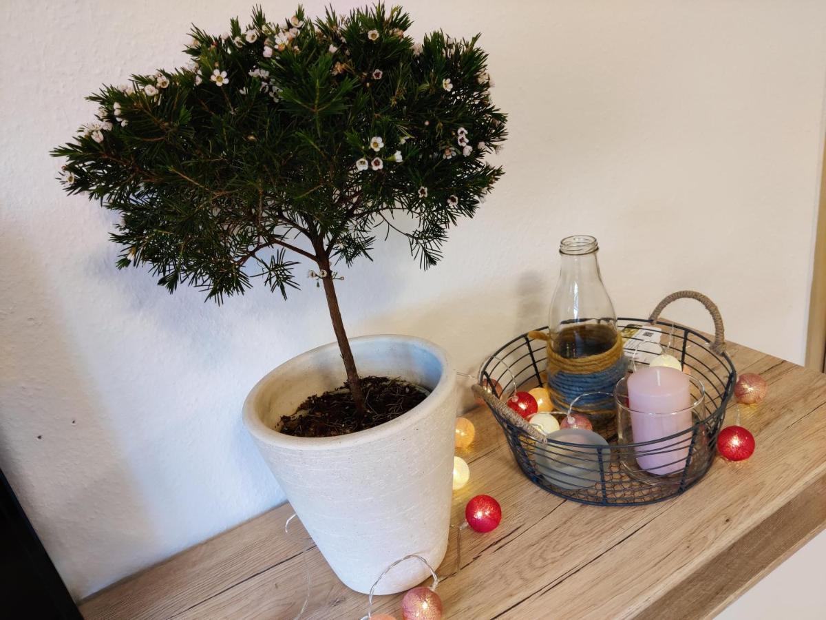 Ferienwohnung Brunow "In Der Natur Zuhause" Neundorf  Esterno foto