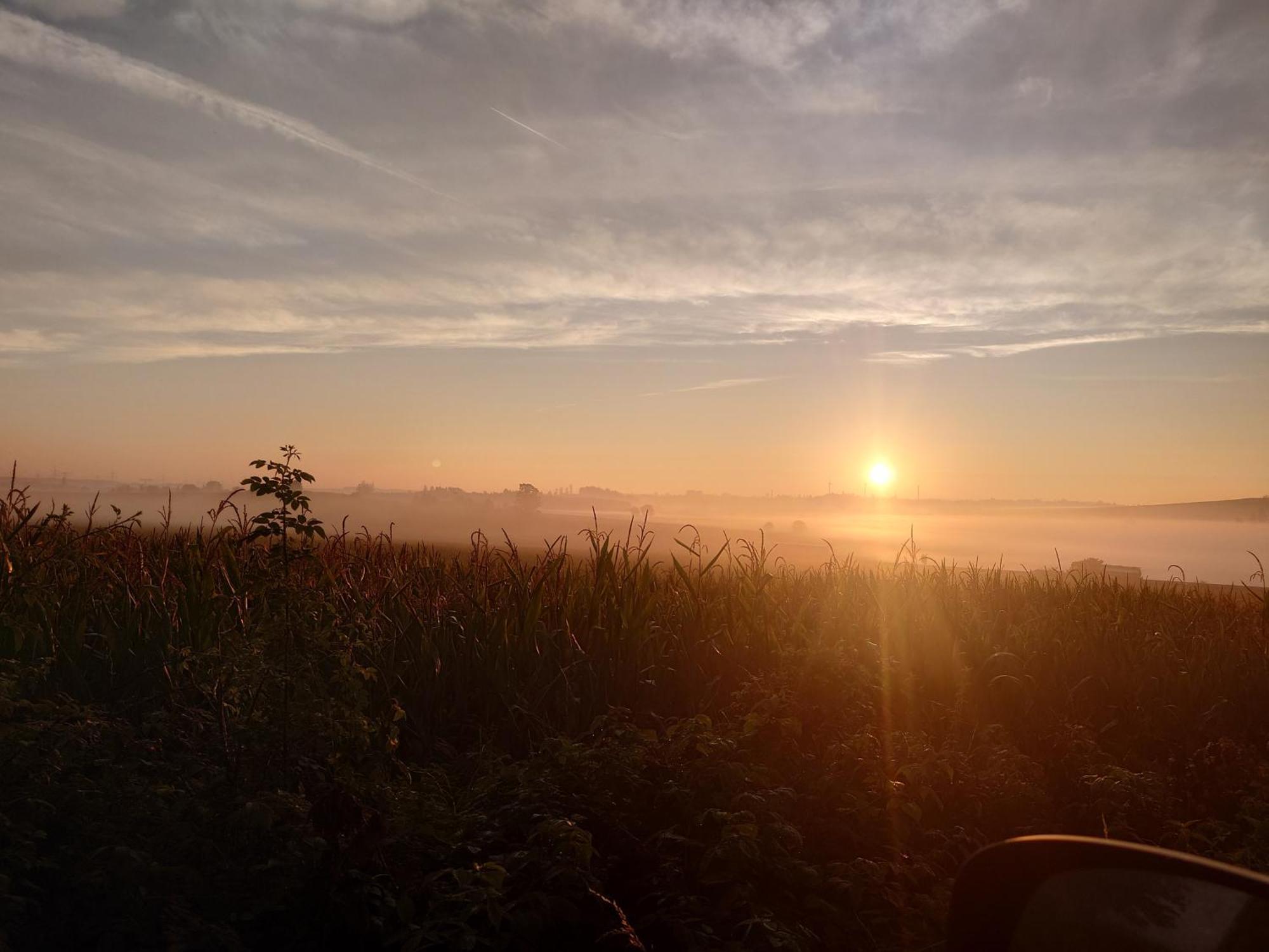 Ferienwohnung Brunow "In Der Natur Zuhause" Neundorf  Esterno foto