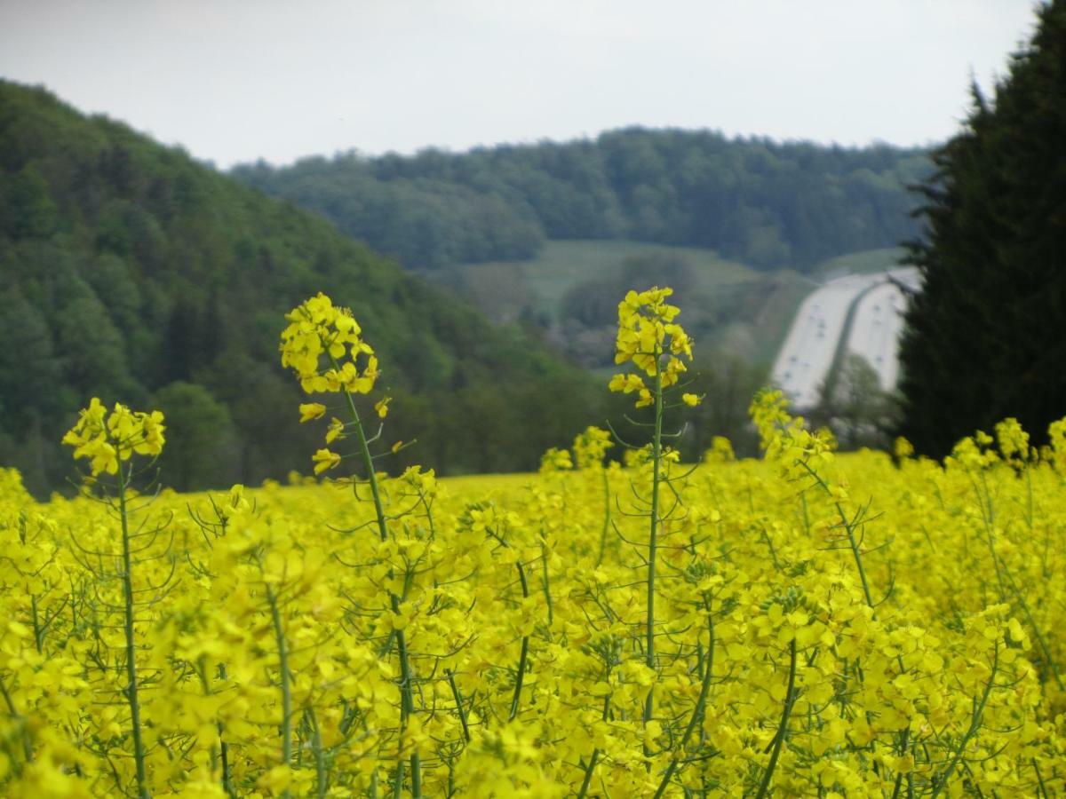 Ferienwohnung Brunow "In Der Natur Zuhause" Neundorf  Esterno foto